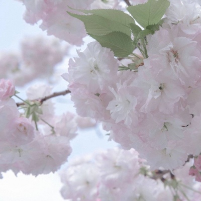 上犹FurryQQ群介绍